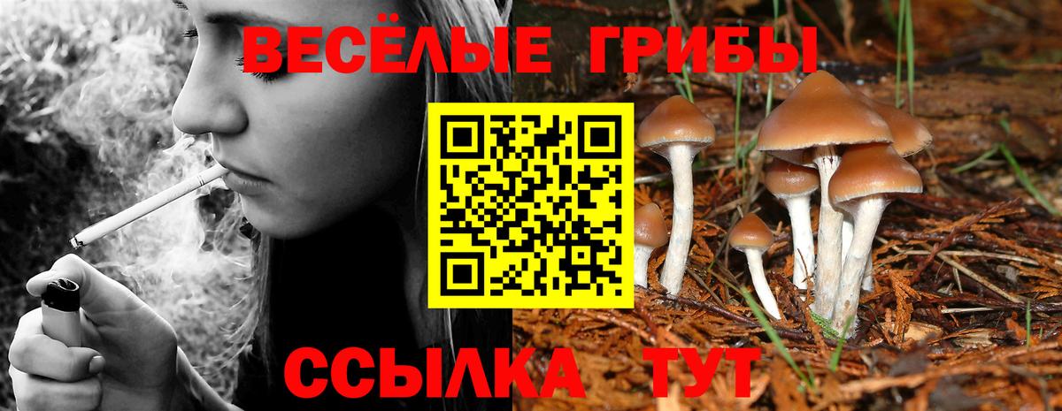 Галлюциногенные грибы прущие грибы Новороссийск